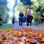 Im Vordergrund herbstliche Blätter, im Hintergrund unscharf wandernde Menschen auf einem Waldweg